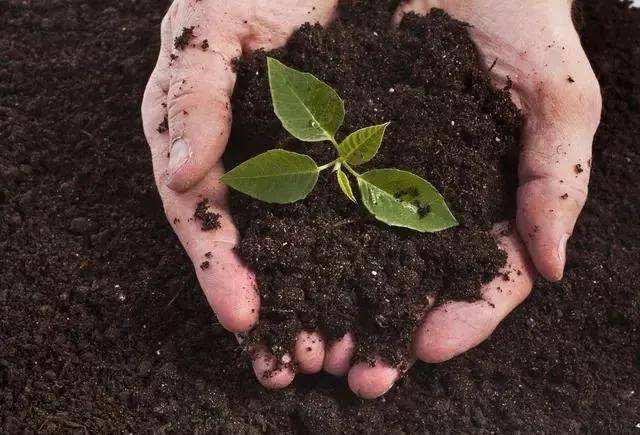 土壤檢測(cè) 土壤檢測(cè)