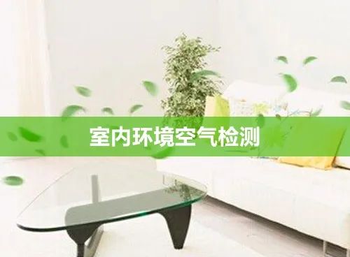 室內(nèi)空氣檢測(cè) 室內(nèi)空氣檢測(cè)