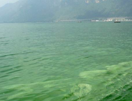 深圳水質檢測機構