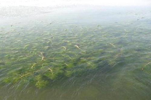 深圳水質(zhì)檢測機(jī)構(gòu) 深圳水質(zhì)檢測機(jī)構(gòu)